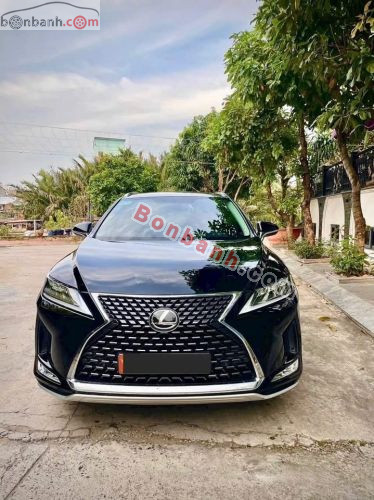 Lexus RX 300 2021