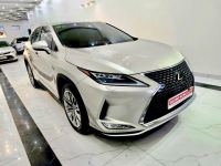 Xe Lexus RX 300 2021