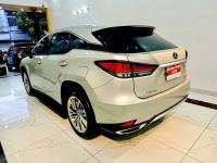 Xe Lexus RX 300 2021