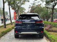 Xe Lexus RX 300 2020