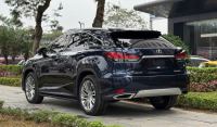 Xe Lexus RX 300 2020