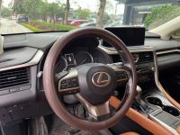 Xe Lexus RX 300 2020