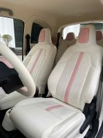 Xe VinFast VF3 Plus 2024