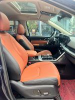 Xe Kia Carnival Signature 2.2D 2024