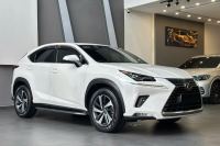 Xe Lexus NX 300 2019