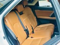 Xe Lexus RX 300 2020