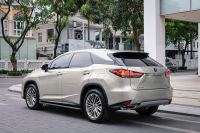Xe Lexus RX 300 2021