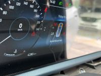 Xe Ford Territory Titanium X 1.5 AT 2024