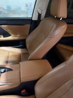 Xe Lexus RX 300 2021