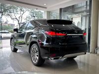 Xe Lexus RX 300 2019