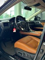 Xe Lexus RX 300 2019