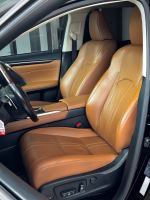 Xe Lexus RX 300 2019