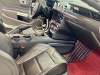 Xe Ford Mustang EcoBoost Fastback 2018