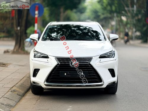 Lexus NX 300 2018