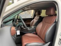 Xe Hyundai SantaFe Cao cấp 2.2L HTRAC 2021
