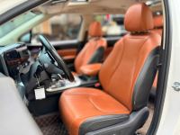 Xe Kia Carnival Signature 2.2D 2024