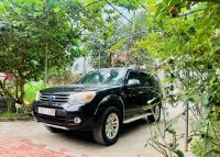 Xe Ford Everest 2.5L 4x2 AT 2013