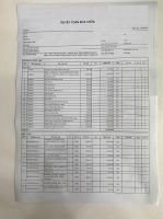 Xe VinFast VF3 Plus 2024