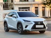 Xe Lexus NX 300 2018
