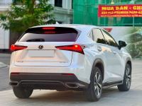 Xe Lexus NX 300 2018
