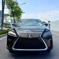 Xe Lexus RX 300 2018