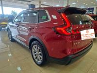 Xe Honda CRV L 2024