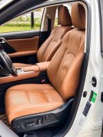 Xe Lexus RX 300 2021