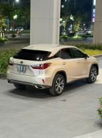 Xe Lexus RX 300 2019