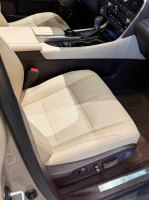 Xe Lexus RX 300 2019