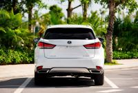 Xe Lexus RX 300 2020