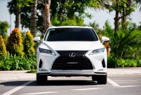 Xe Lexus RX 300 2020