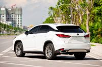 Xe Lexus RX 300 2020
