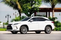 Xe Lexus RX 300 2020