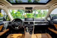 Xe Lexus RX 300 2020