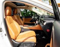 Xe Lexus RX 300 2020