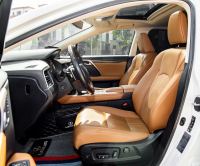Xe Lexus RX 300 2020