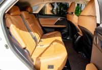 Xe Lexus RX 300 2020