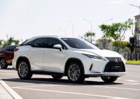 Xe Lexus RX 300 2020