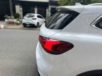 Xe MG HS 1.5T LUX 2024