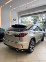 Xe Lexus RX 300 2018