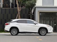Xe Lexus RX 300 2021