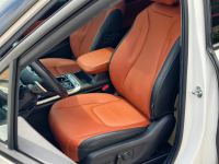 Xe Kia Carnival Signature 2.2D 2024