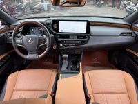 Xe Lexus ES 300h 2023
